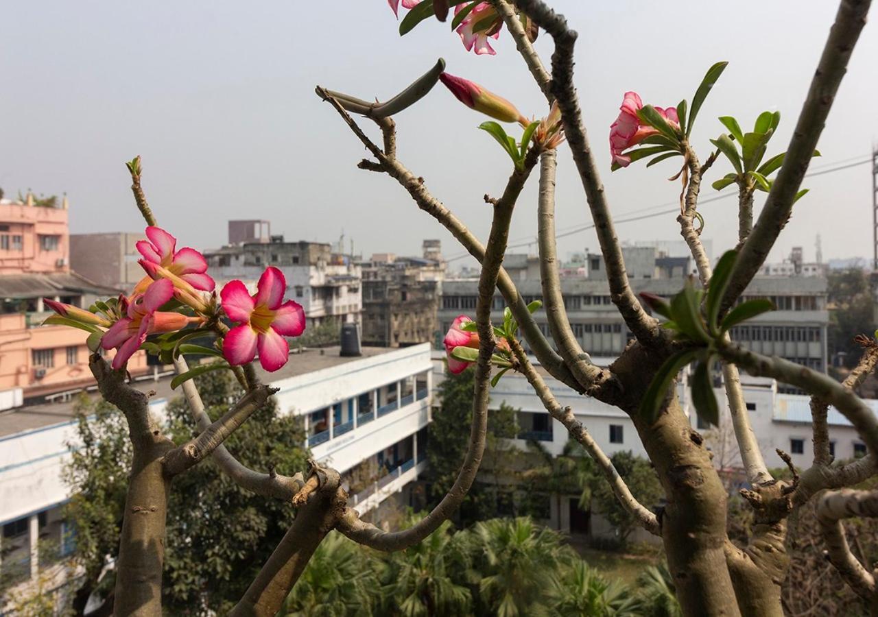 Neelam Bed&Breakfast Kolkata Bagian luar foto